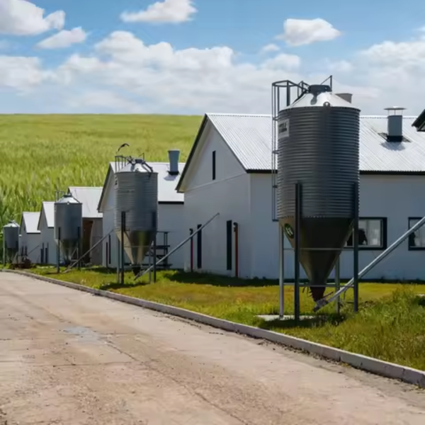 steel farm building manufacturer8