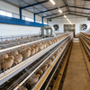 Prefabricated Steel Structure Warehouse, Industrial & Livestock Farm Building