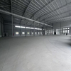 Prefabricated Steel Structure Factory & Warehouse Building | Industrial Commercial Construction Solution