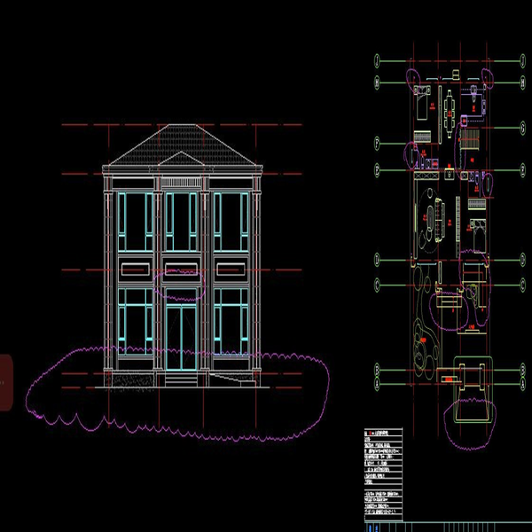 Customer Case