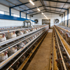 Weather Resistant Farm Supplier