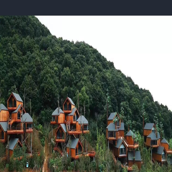 Construction Camps