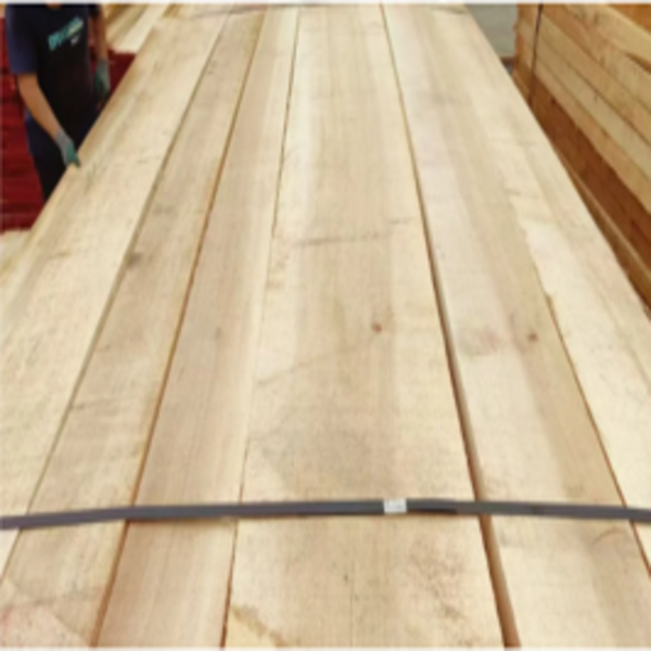 Poplar