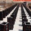 Heavy Duty PP Plastic Formwork Mold for Wall, Slab And Column Casting