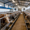 Custom Steel Structure Livestock Farm & Warehouse Building, Prefabricated Poultry & Livestock House