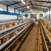 Weather Resistant Farm Supplier